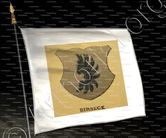drapeau-BIRSECK_Wappenbuch der Stadt Basel . B.Meyer Knaus 1880_Schweiz