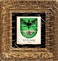 cadre-ancien-or-SALGADO_Galicia_España (i)