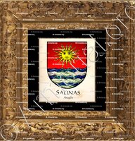 cadre-ancien-or-SALINAS_Aragon_España (i)