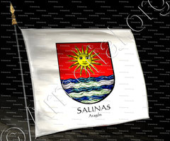 drapeau-SALINAS_Aragon_España (i)