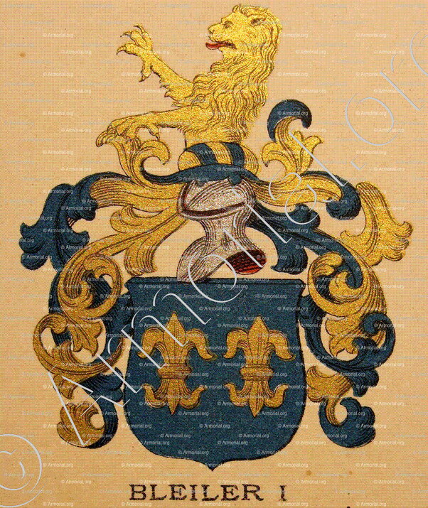 BLEILER_Wappenbuch der Stadt Basel . B.Meyer Knaus 1880_Schweiz