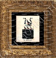 cadre-ancien-or-DE HINNISDAEL_Armorial royal des Pays-Bas_Europe