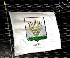 drapeau-van RIET_Zuid-Holland, Utrecht._Nederland (2)