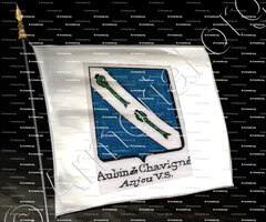 drapeau-AUBIN de CHAVIGNÉ_Bretagne_France