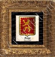 cadre-ancien-or-SALOPE_Comte de Salope, chevalier de la Jartière._(i)