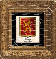 cadre-ancien-or-SALOPE_Comte de Salope, chevalier de la Jartière._(i)