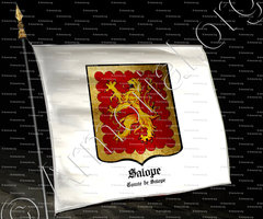 drapeau-SALOPE_Comte de Salope, chevalier de la Jartière._(i)