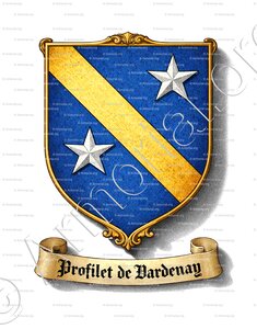 PROFILET DE DARDENAY (Champagne)