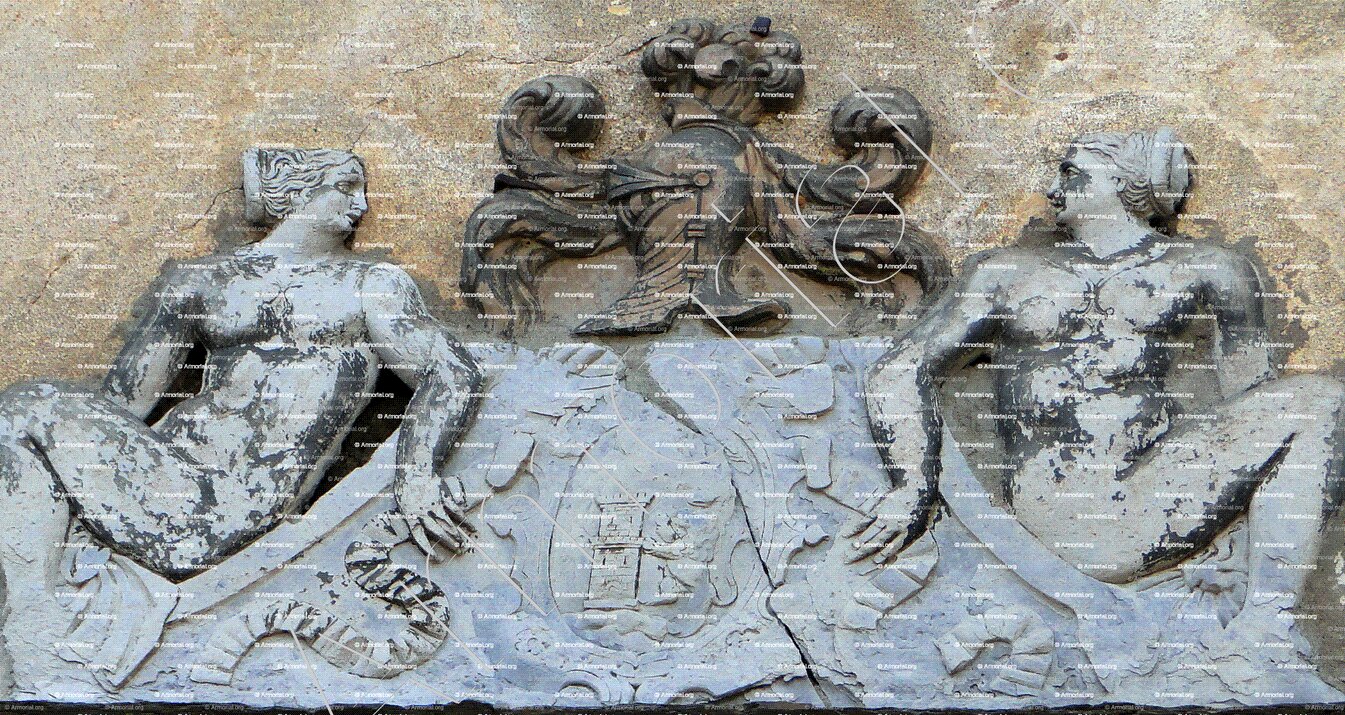 CARDI_Cardo. Bastia. Corse_France (1)
