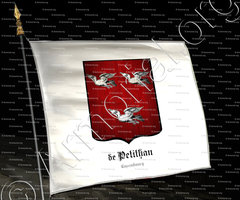 drapeau-de PETITHAN_Wallonie_Luxembourg (2)