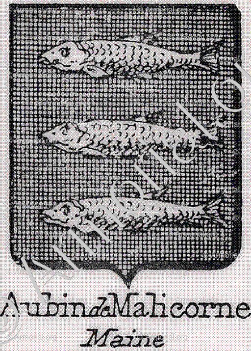 AUBIN de MALICORNE_Maine_France