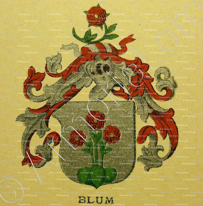 BLUM_Wappenbuch der Stadt Basel . B.Meyer Knaus 1880_Schweiz