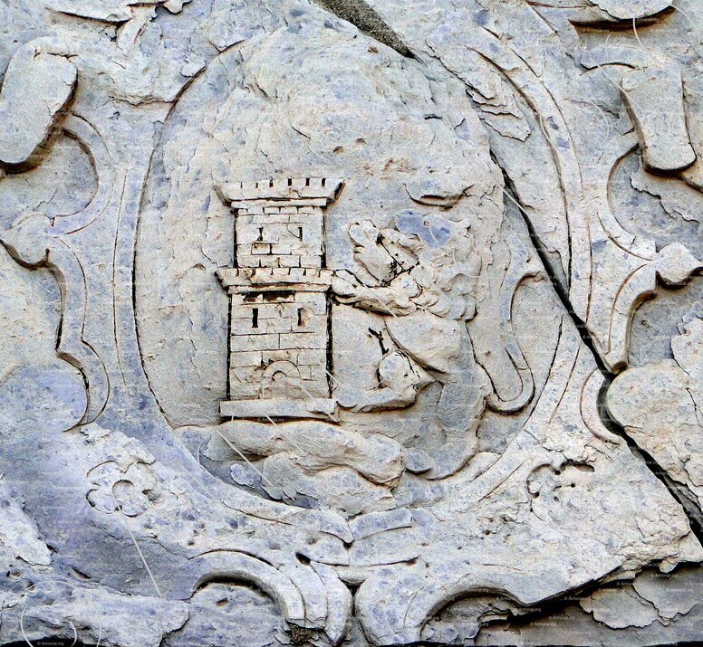 CARDI_Cardo. Bastia. Corse_France (2)