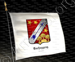 drapeau-TSCHAGGENY_Bruxelles_Belgique (2)