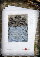velin-d-Arches-CARDI_Cardo. Bastia. Corse_France (3)