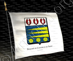 drapeau-BRUYSET de CORNAS et de SURE_Lyonnais_France (3)