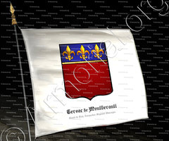 drapeau-TERSAC de MONTBERAULT_Comté de Foix, Languedoc, Guyenne, Gascogne._France (2)