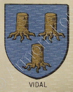 VIDAL