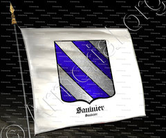drapeau-SAULNIER_Bourgogne_France (1)