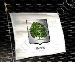 drapeau-COLLEDO_Asturias_España (2)