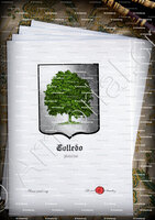 velin-d-Arches-COLLEDO_Asturias_España (2)