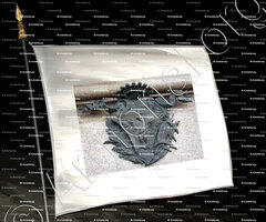drapeau-ACQUI TERME_Piemonte_Italia (3)