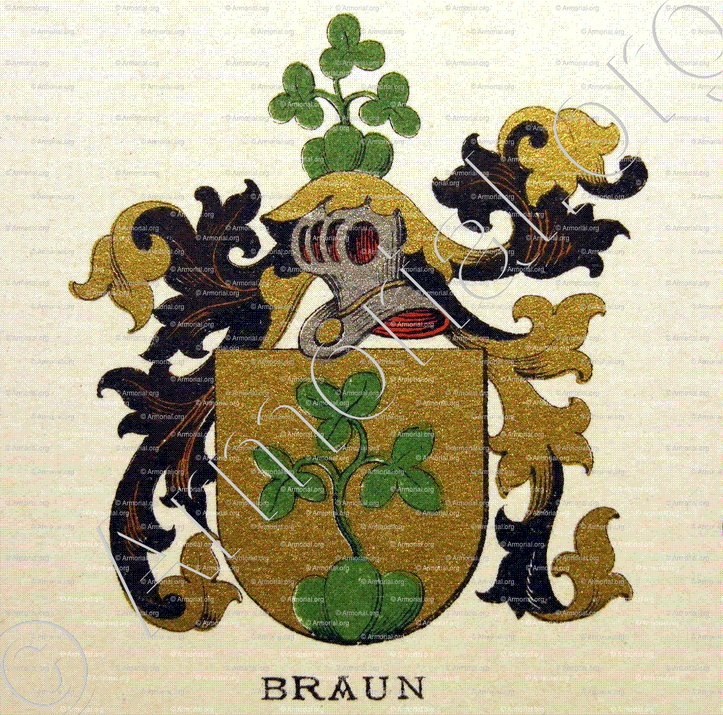 BRAUN_Wappenbuch der Stadt Basel . B.Meyer Knaus 1880_Schweiz