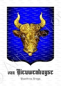 NIEUWENHUYSE (van)
