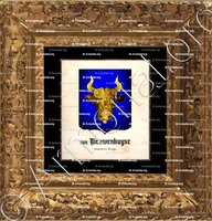 cadre-ancien-or-NIEUWENHUYSE (van)_ Vlaanderen, Brugge (1)