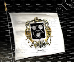 drapeau-MASSELOT_Hainaut, Wallonie, pays de Liège._Belgique (1)