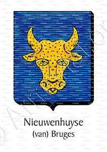 NIEUWENHUYSE (van)