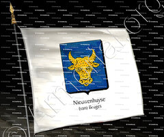 drapeau-NIEUWENHUYSE (van)_Vlaanderen, Brugge._België (3)