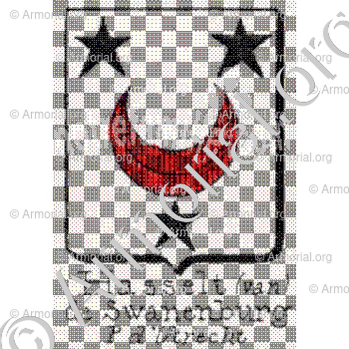 Hasselt (van) de Swanenburg__