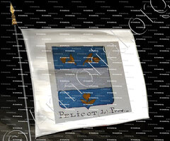 drapeau-de PELICOT_Armorial Nice. (J. Casal, 1903) (Bibl. mun. de Nice)_France (i)