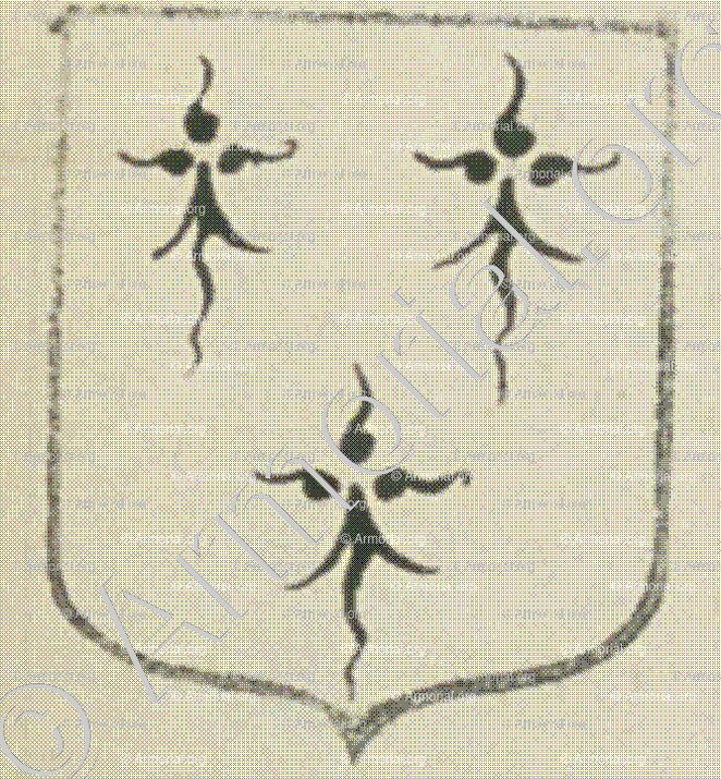 DAVID (La Rochelle)_Blason enregistré sous le règne de Louis XIV._France