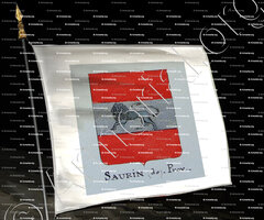 drapeau-de SAURIN_Armorial Nice. (J. Casal, 1903) (Bibl. mun. de Nice)_France (i)