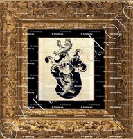cadre-ancien-or-HEGNENBERG_Bayerischer Adel. _Heiliges Römisches Reich 
