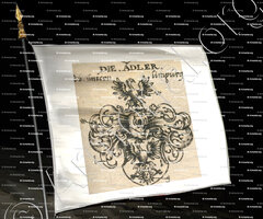 drapeau-ADLER_Schwäbisch Haller Familienwappen_Deutschland