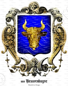 NIEUWENHUYSE (van)