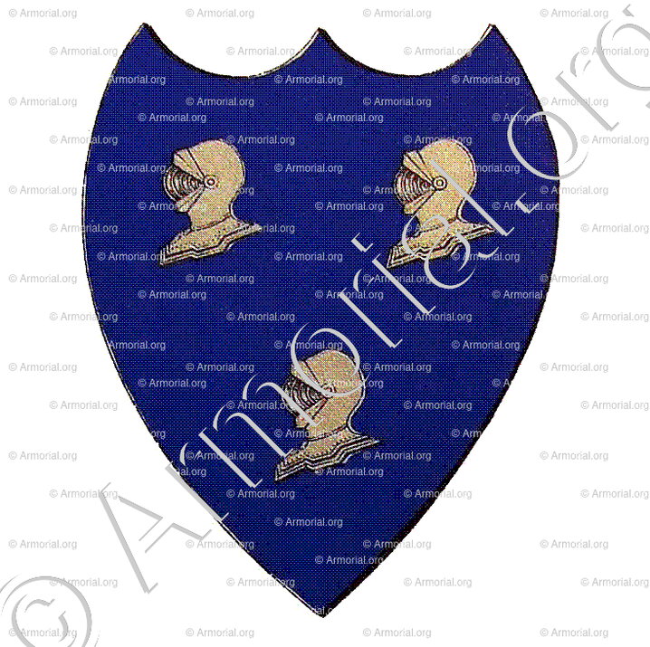 FERRUS_Ancien Duché de Savoie (Cte de Foras, 1863)_États de Savoie