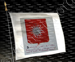 drapeau-del BALZO, Seigneur de Contes_Armorial Nice. (J. Casal, 1903) (Bibl. mun. de Nice)_France (i)