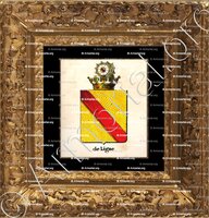 cadre-ancien-or-DE LIGNE_Armorial royal des Pays-Bas_Europe