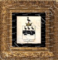 cadre-ancien-or-DE LOEN D'ENSCHEDE_Armorial royal des Pays-Bas_Europe