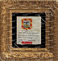 cadre-ancien-or-Del CARETTO - Armorial Nice. (J. Casal, 1903) (Bibl. mun. de Nice) - France (i)