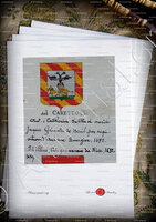 velin-d-Arches-Del CARETTO - Armorial Nice. (J. Casal, 1903) (Bibl. mun. de Nice) - France (i)