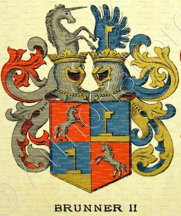 BRUNNER_Wappenbuch der Stadt Basel . B.Meyer Knaus 1880._Schweiz. Suisse. Svizzera. (2)