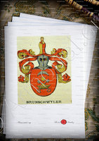 velin-d-Arches-BRUNSCHWYLER_Wappenbuch der Stadt Basel . B.Meyer Knaus 1880_Schweiz