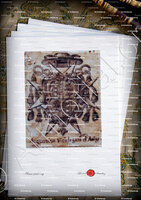 velin-d-Arches-ACQUAVIVA_Contea di Nizza_Ducato di Savoia, Regno di Sardegna.