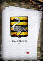 velin-d-Arches-STAS de RICHELLE_Gent_België (2)()