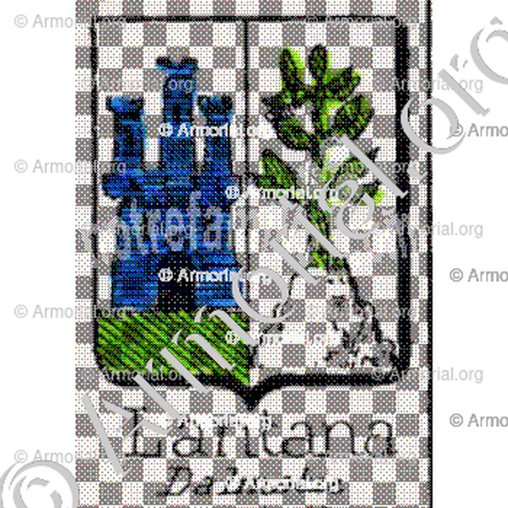 Lantana__